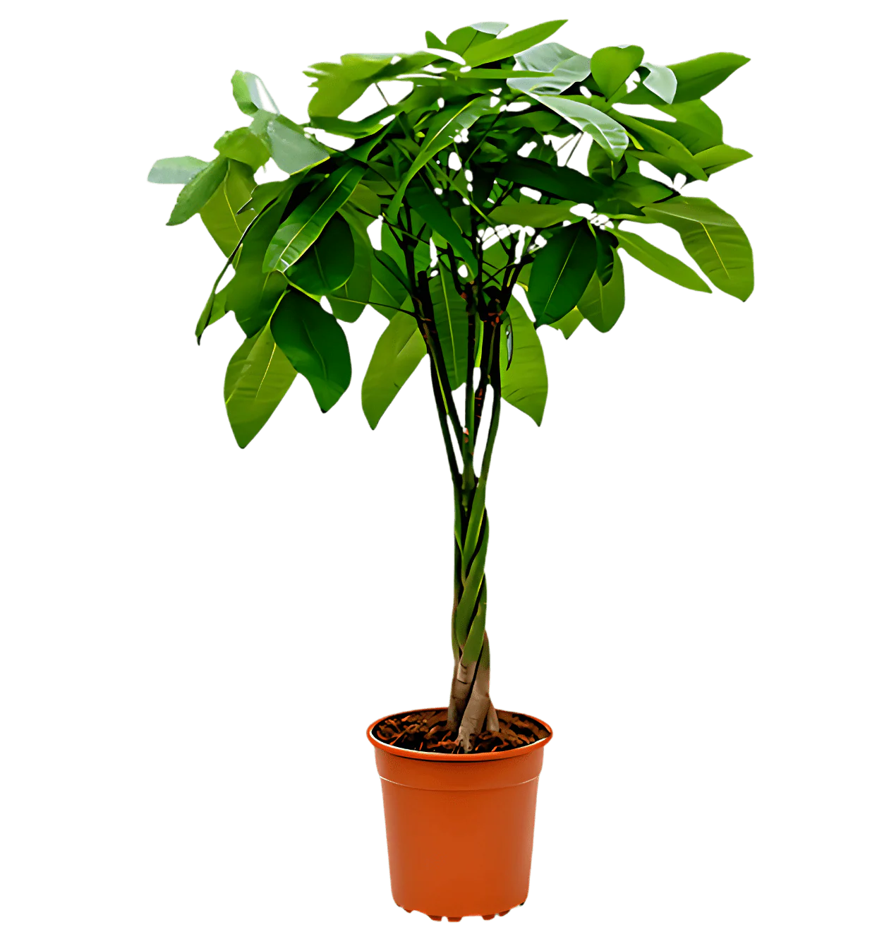 Produktbild 4