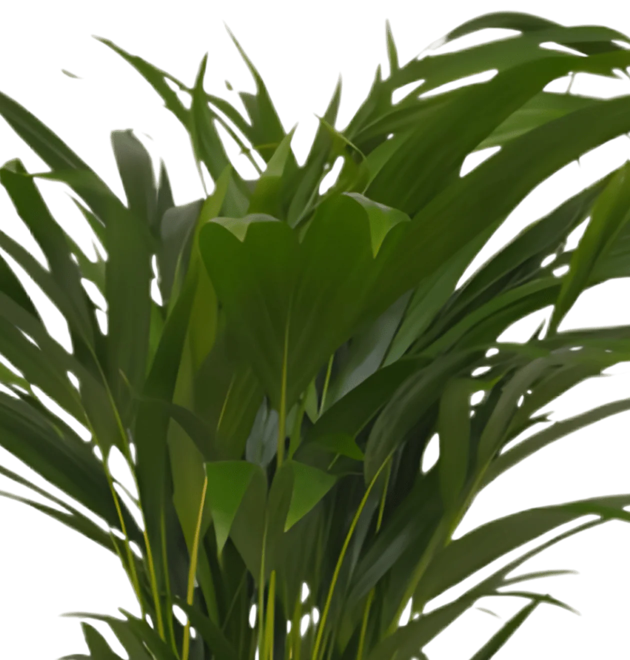 Produktbild 4
