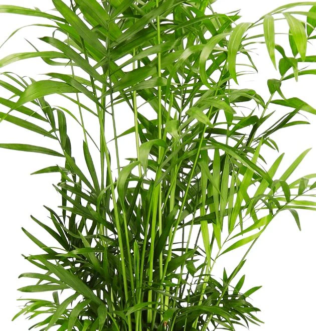 Produktbild 6