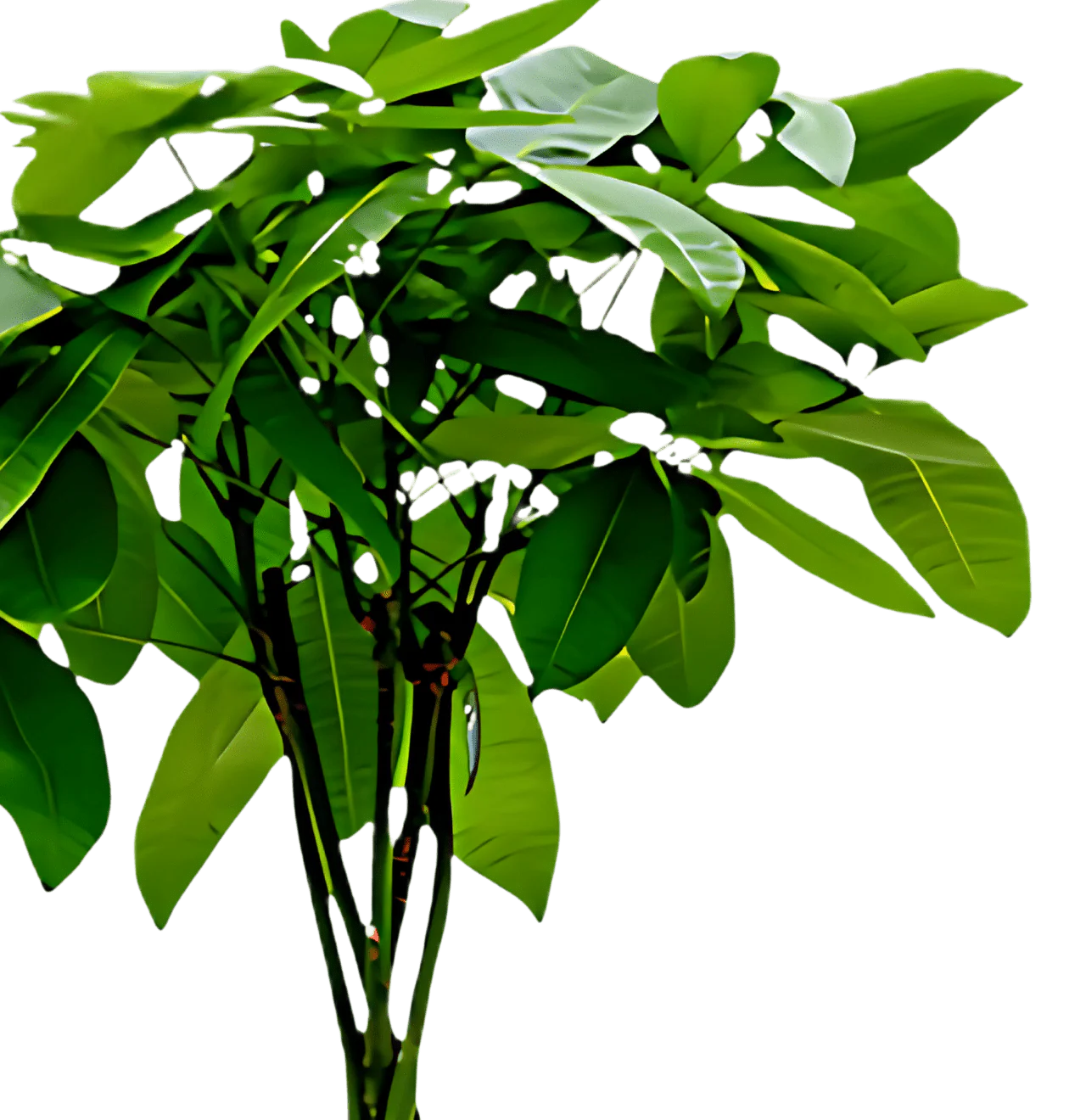 Produktbild 6