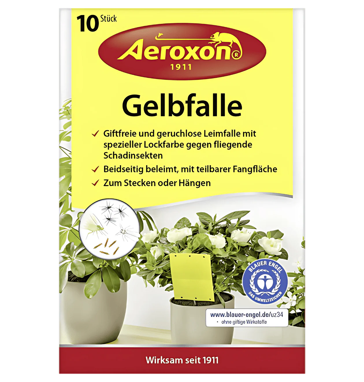 Vorschaubild 1