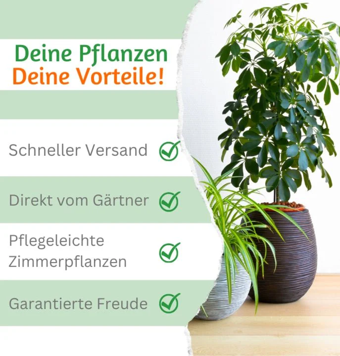 Produktbild 4