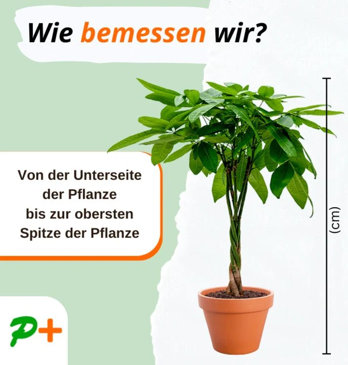 Produktbild 5